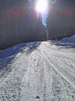 IMG 20220224 131902